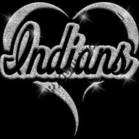 GLT77 SILVER GLITTER Thumbnail