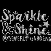 GLT67 SILVER GLITTER Thumbnail